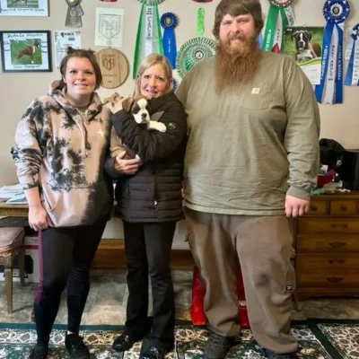 Fawn male 4 litter G