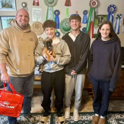 Fawn female 2 litter G