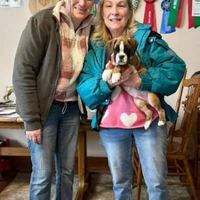 Fawn male 1 litter G