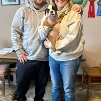 Fawn male 3 litter G