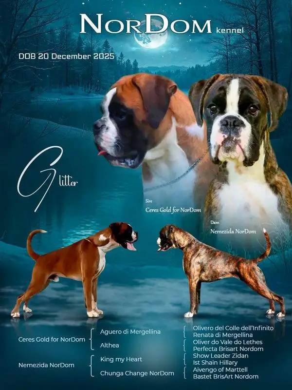 litter G Ceres Gold Nemezida 2025-12-20