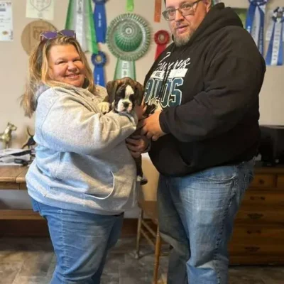 Brindle female 1 litter H