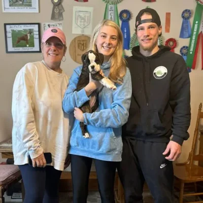 Brindle female 3 litter H