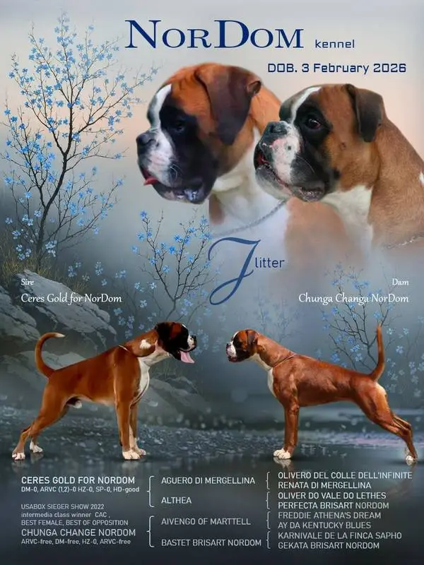 Ceres - Chunga 3 February 2026 litter J