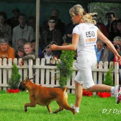 Daniela NorDom