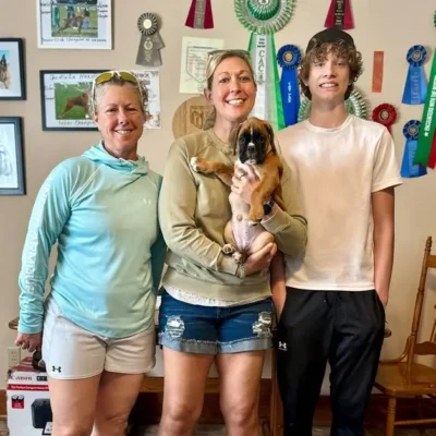 Fawn female 1 litter J