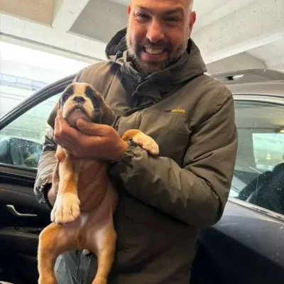 Fawn male 1 litter J