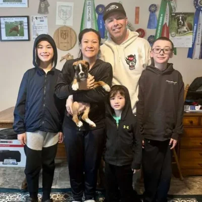 Fawn male 2 litter J