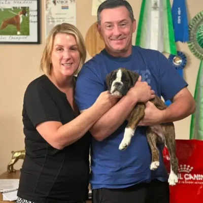 Brindle male 2 litter M